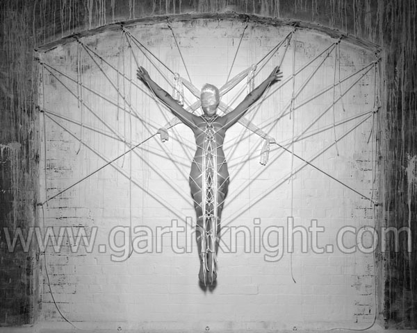 Change, Metamorphosis, Transformation (xiv) Rush. Garth Knight, 2006